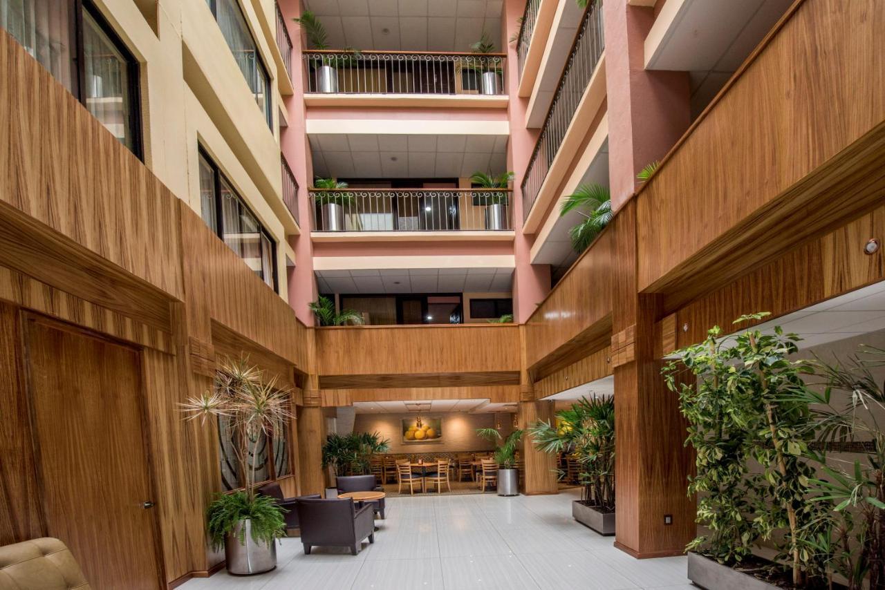 Oaxaca Inn Reforma Екстер'єр фото