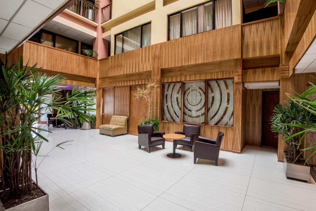 Oaxaca Inn Reforma Екстер'єр фото